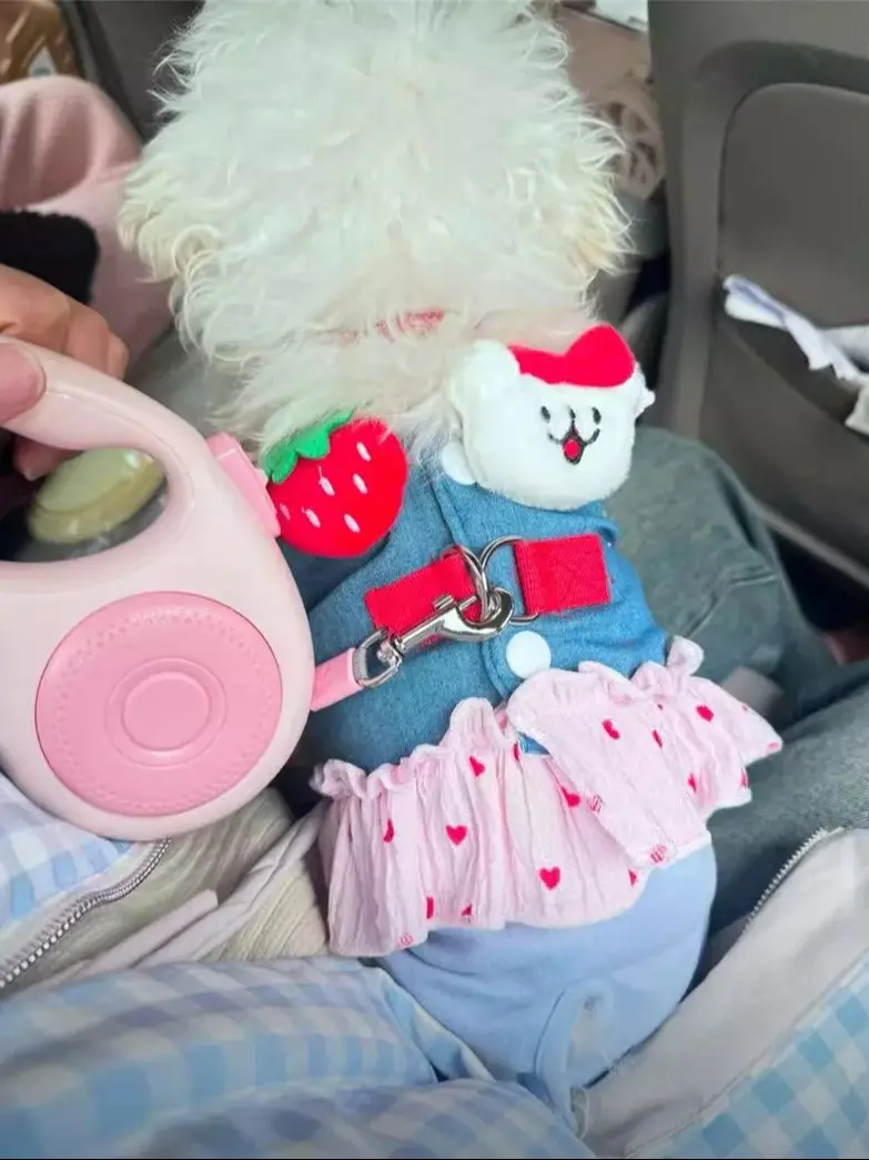 

Dog and Cat Dress Chest Strap Pet Dog and Cat Clothes Outdoor Pet Supplies Cartoon Breathable Strawberry Clothes Four Seasons