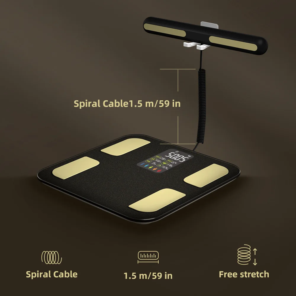 Human Body Composition Detector Weighing Scales For Sale