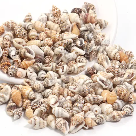 6 best sales shells - №2