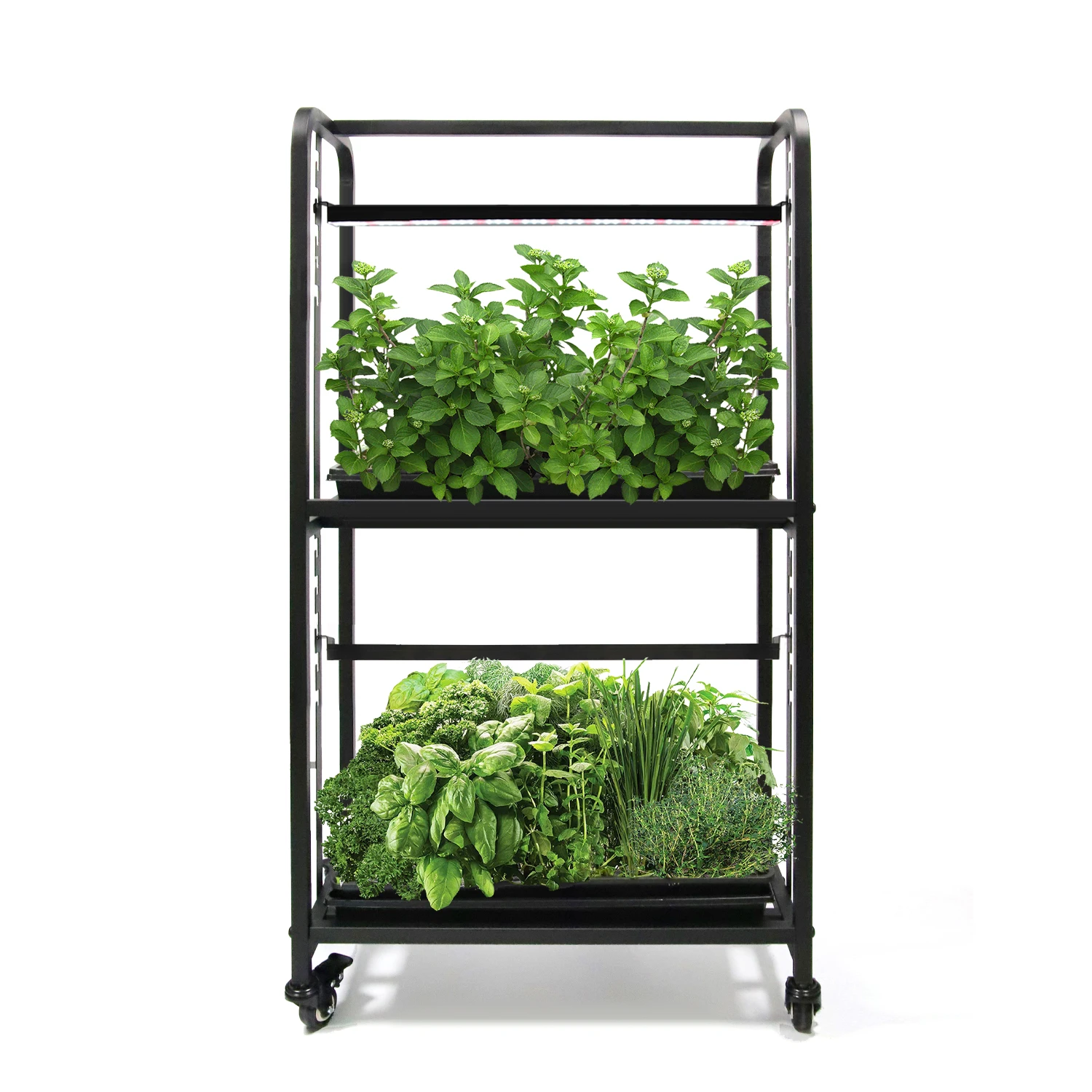 EDKFARM Smart Iron Indoor Gardening System LED Grow Light Herbs Planter Kit with Movable Wheels Adjustable Height for Home