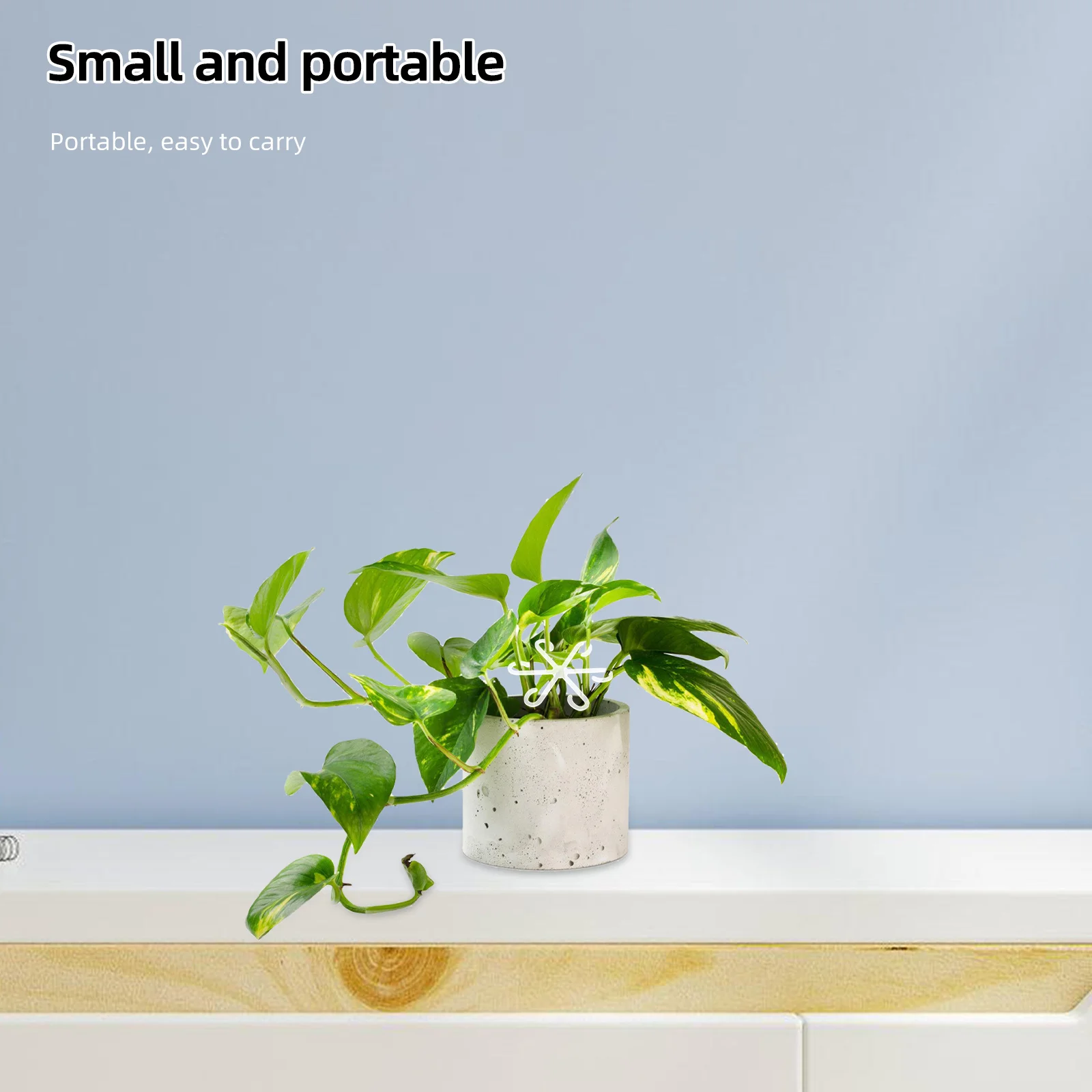 

Держатель для стебля растений, акриловая устойчивая стойка-фиксатор, цветочный горшок, опорный кронштейн для стеблей растений в помещении для Monstera Bonsai