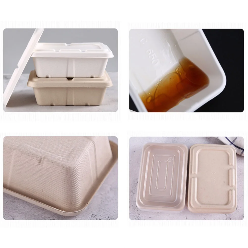

10Pcs Eco-Friendly Disposable Pulp Lunch Boxes 700ml Biodegradable Takeout Food Containers with PP Lid for Home Restaurant Bento