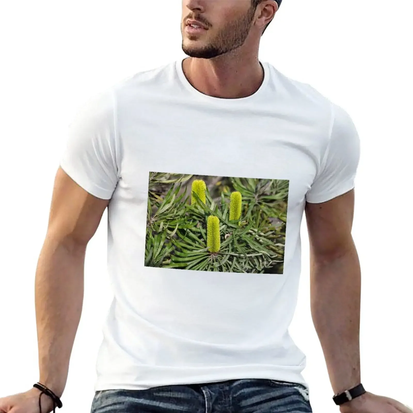 New Banksia attenuata - Candlestick Banksia T-Shirt cute tops boys white t shirts mens big and tall t shirts