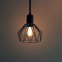 Mini Iron Birdcage Pendant Lamp Shade Industrial Metal Cage Light Fixture Covers Vintage Wire Lamp Shade Ceiling Fan Light Cages