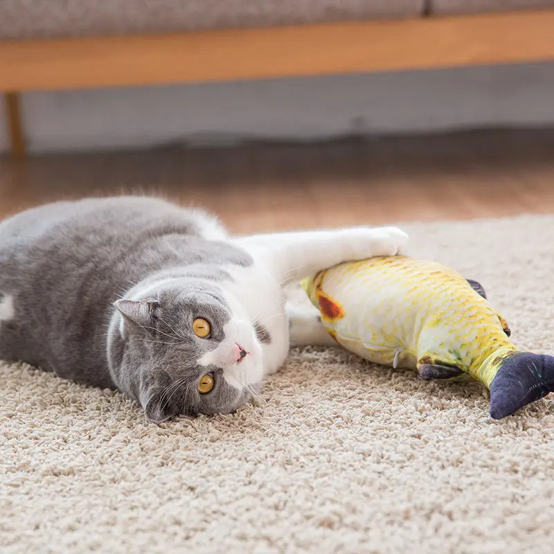 3D-Simulations-Karpfenfisch-Katzenspielzeug, weiches Plüsch-Interaktions-Katzenminze-Spielzeug, Lachs-Karussel-Fischform, Haustier-Wurfkissen für Katzen