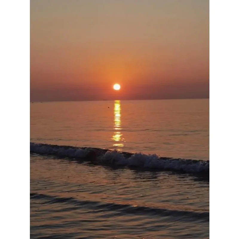 

Tiy 3 в 1 автомобильный аварийный молоток безопасности, автоматический инструмент для разбивания окон, аварийный молоток, резак для ремней, аварийные инструменты