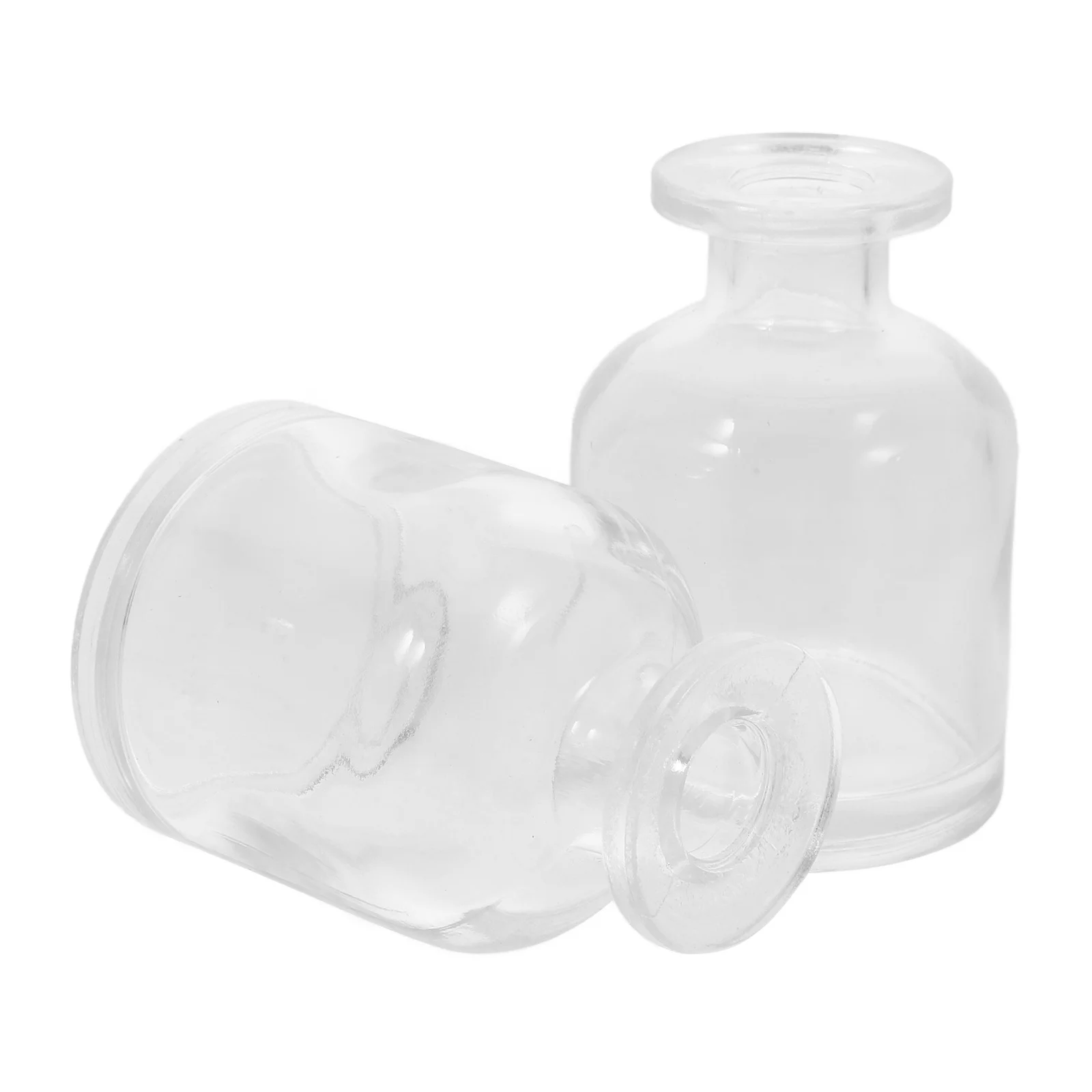 

2 Pcs Aroma Glass Diffuser Bottle Desktop Bottles Aromatherapy Container Scents Empty for Ornament