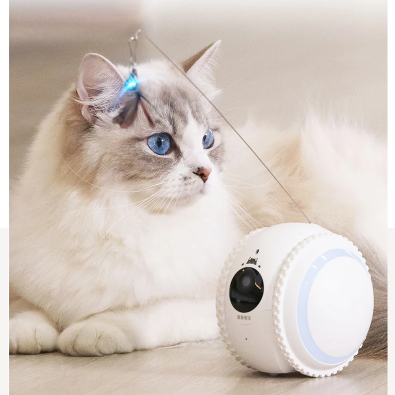 Cat companion robot teasing cat artifact camera camera camera monitoring two-way voice self-hilarity