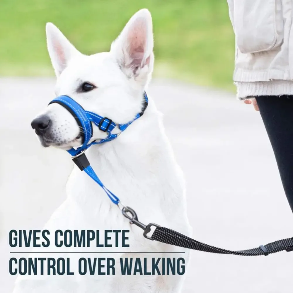 Dog Halter Halti Training Head Collar Buckle Fixing Adjustable Anti-Bite Quick Release Breathable Dog Mouth Cover Dog Supplies