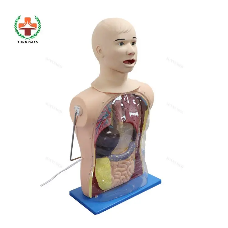 SUNNYMED SY-N03113 Nurse Training Model Nasotric Feeding and Tracheal Nursing Care Model