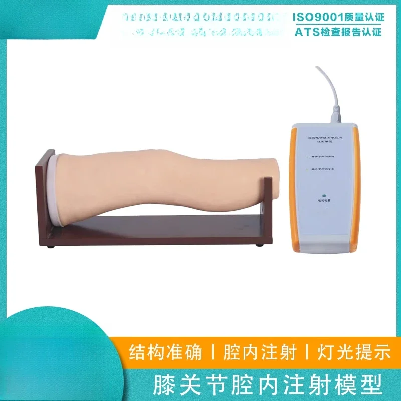 YX/L72 Knee Intravenous Injection Model Puncture Palpation Simulated Bursa