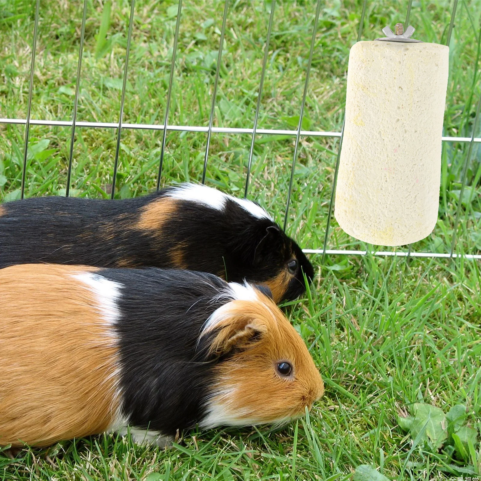 

Pumice Chew For Small Animals Ledge Random Color Teeth Cleaning Grinding Stone Hamster Supplies Pet Chew Rabbit