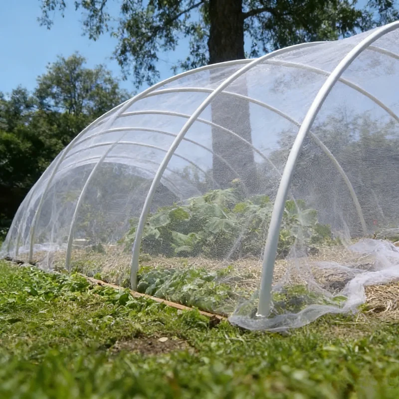 

Fruit Tree Planting Bird and Pest ControlHDPE60Transparent Insect-Proof Net for Greenhouse Breeding Special Protective Net