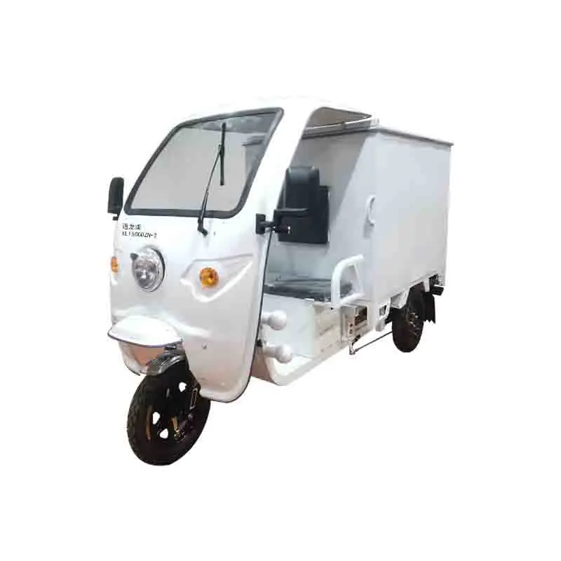 Hot Sale 800W Van Enclosed Cargo Tricycle Cargo Box Tricycle Use for Fast Delivery and Shopping