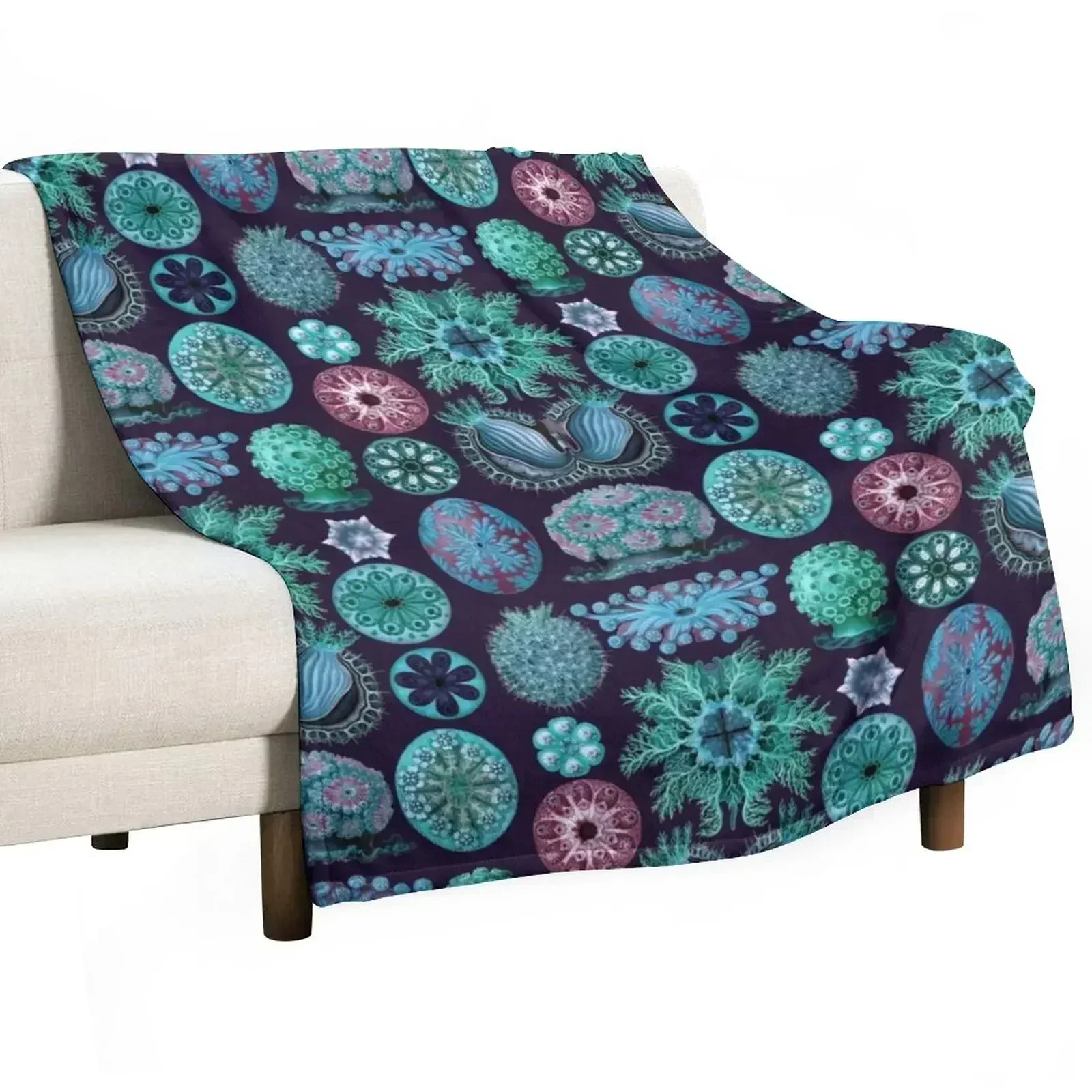 Ernst Haeckel Ascidiae Sea Squirts Teal Colorway Throw Blanket Beach Luxury St Flannel Hairys Blankets