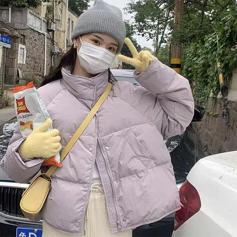 

Long Sleeve Cotton Jackets Woman Zipper Up Solid Color Parkas Lady Thicken Warm Short Cotton Jacket Women Fashion Stand Collar