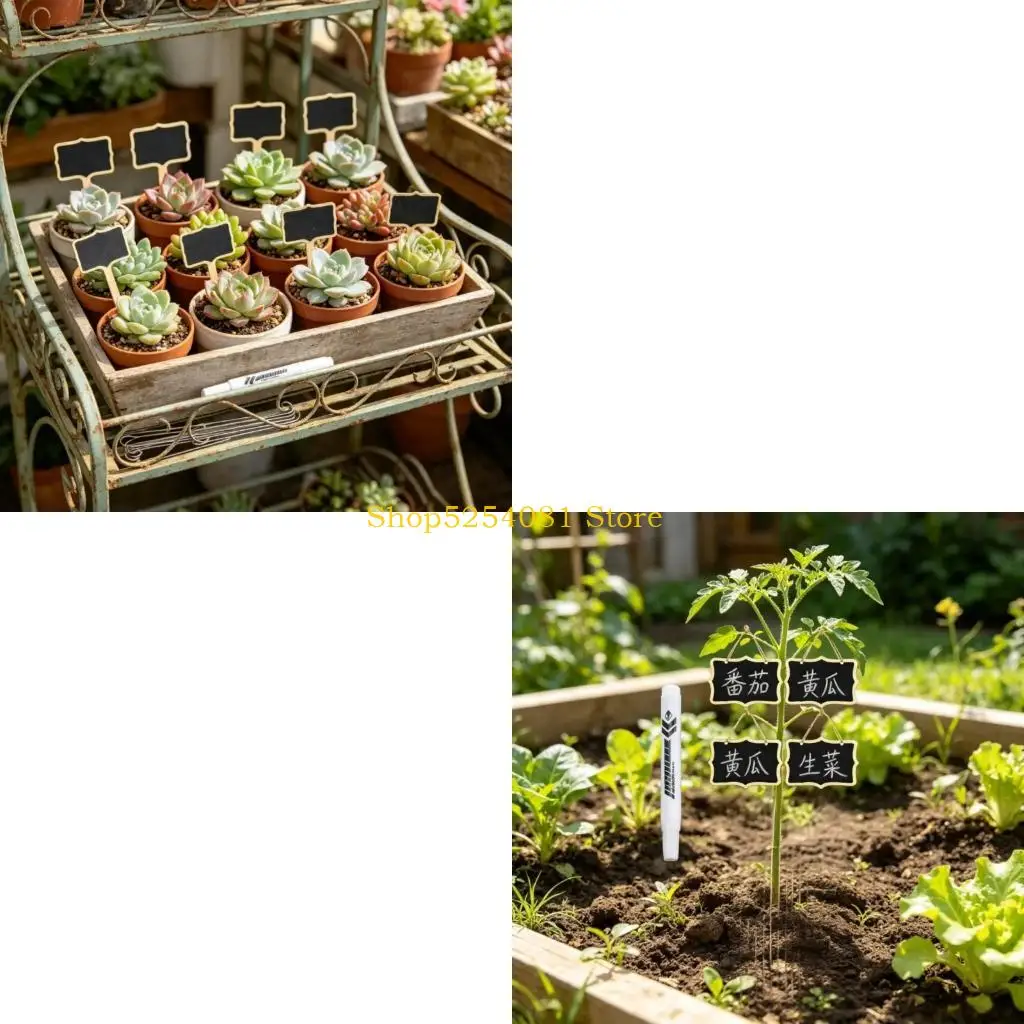 AXYC Blackboard Plant Identification Set With 25 Wooden Labels And Sturdy Metal