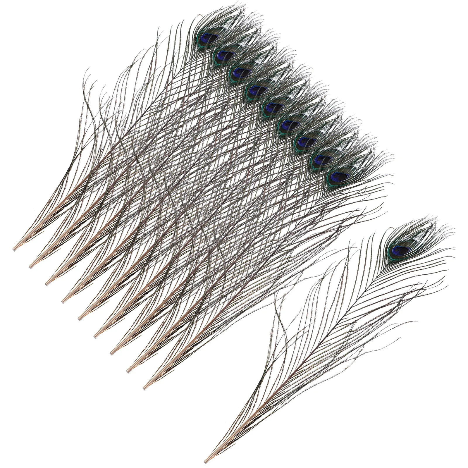 

10pcs Peacock Plumes Ornaments for Vase Fill Craft Supplies Bulk Party Wedding Decor DIY Arrangements Wall