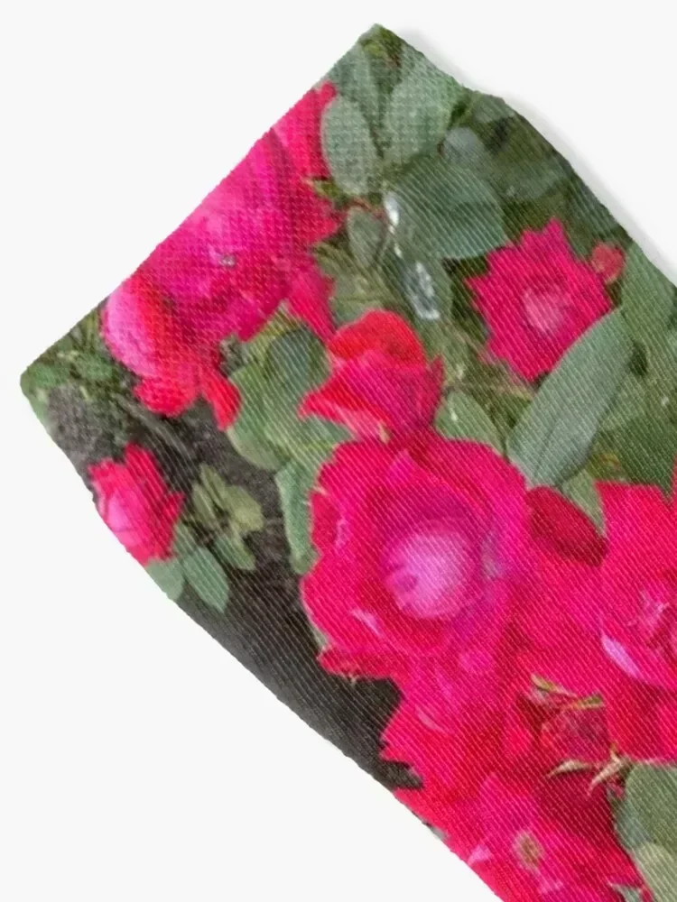 Hot Pink Roses Socks cotton tennis designer brand Socks Women's Men's