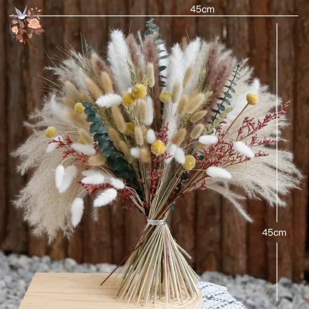 Natural Dried Flowers Home Decor Bouquet Wedding Arrangement Fluffy Phragmites Reeds Pampas Bunny Tail Grass Spring Decoration