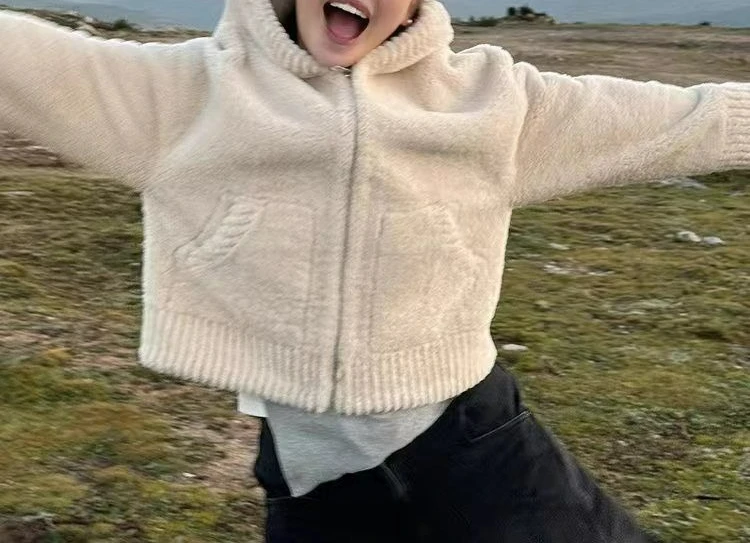 

Lamb Wool Hooded Jacket Women's 2025 Winter New Temperament Retro High-end Thickened Short Top