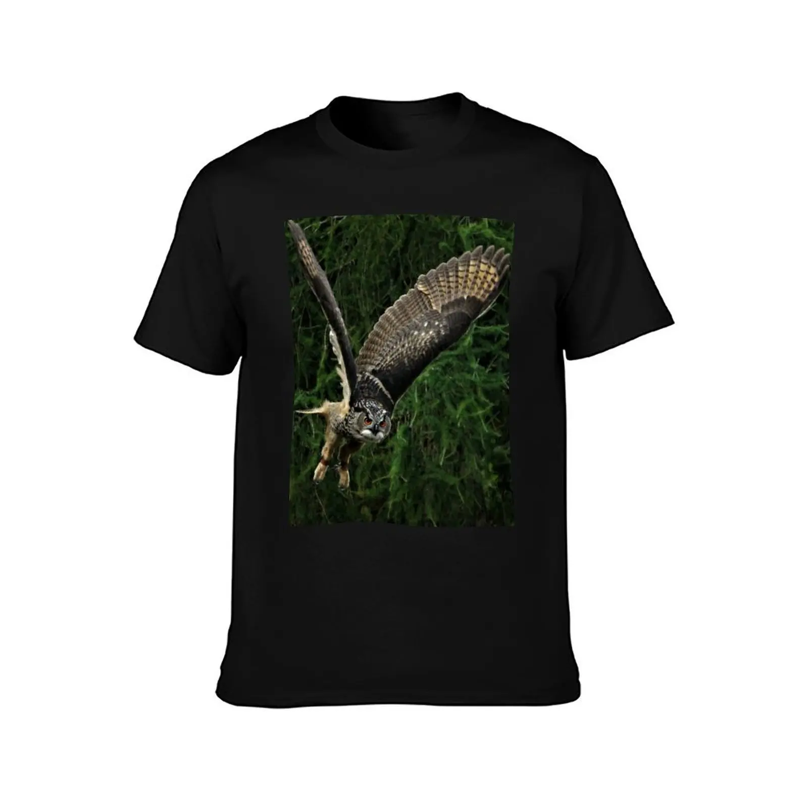 Burrowing Owl T-Shirt Minimalist Casual Short Sleeve Top T-Shirt
