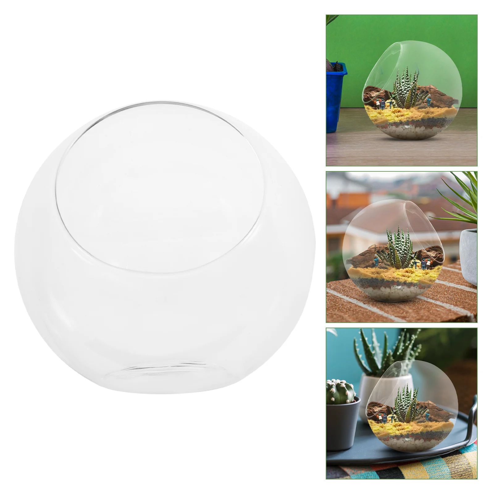 

Stylish Clear Glass Flower Vase Slant Mouth Design for DIY Terrarium Hydroponic Plants Desktop Garden Display