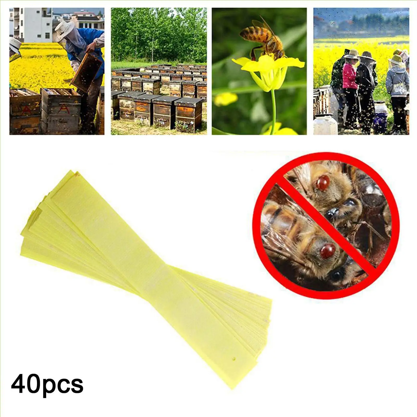 40 Uds apicultura fluvalinato abeja ácaro Varroa asesino tratamiento medicina tira abeja ácaro medicina herramienta de apicultura