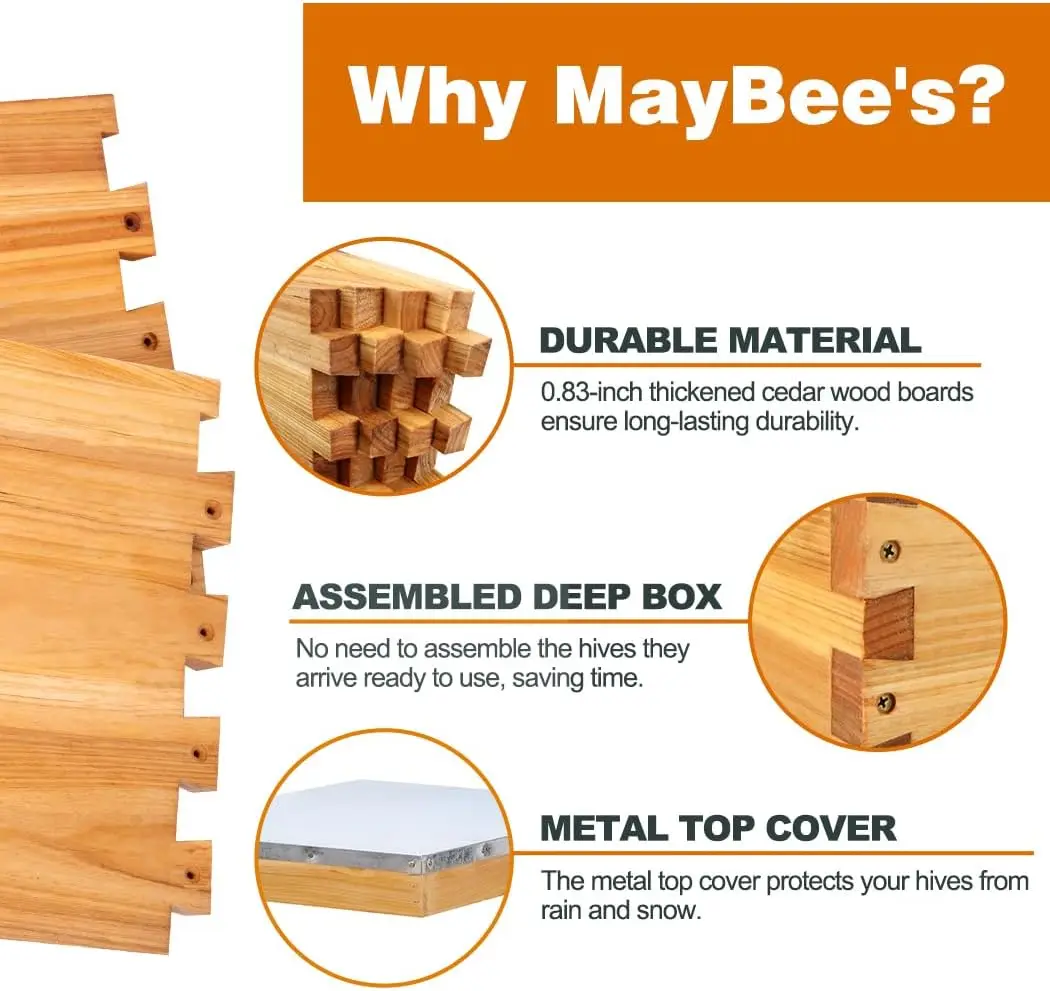 8 Frame Beehive Starter Kit Wax Dipped Beekeeping Supplies Tool Kit Bee Suit Bee Hives Boxes