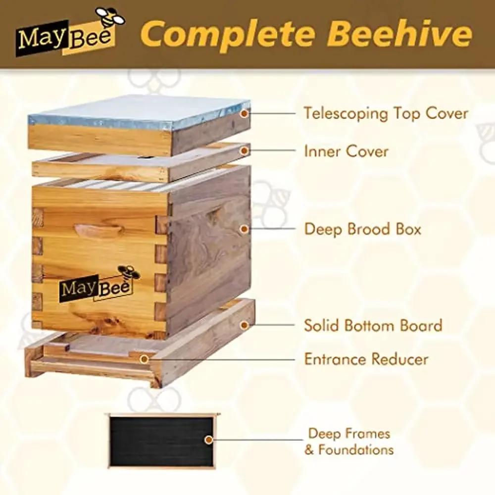 5-Frame Complete Bee Hive Kit with Dovetail Joints & Vented Boards Metal Roof Wooden Frames & Wax Foundations Langstroth Hive