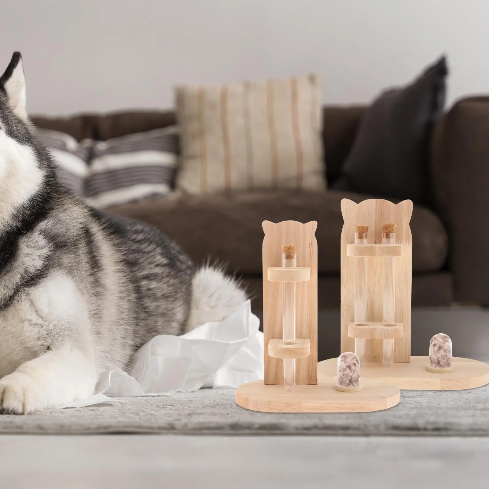 القط ويسكي جامع الحيوانات الأليفة الشعر صندوق تذكاري زخرفة القط ويسكي جرة الحيوانات الأليفة صندوق تذكار ل هريرة الحيوانات الأليفة الكلاب جرو