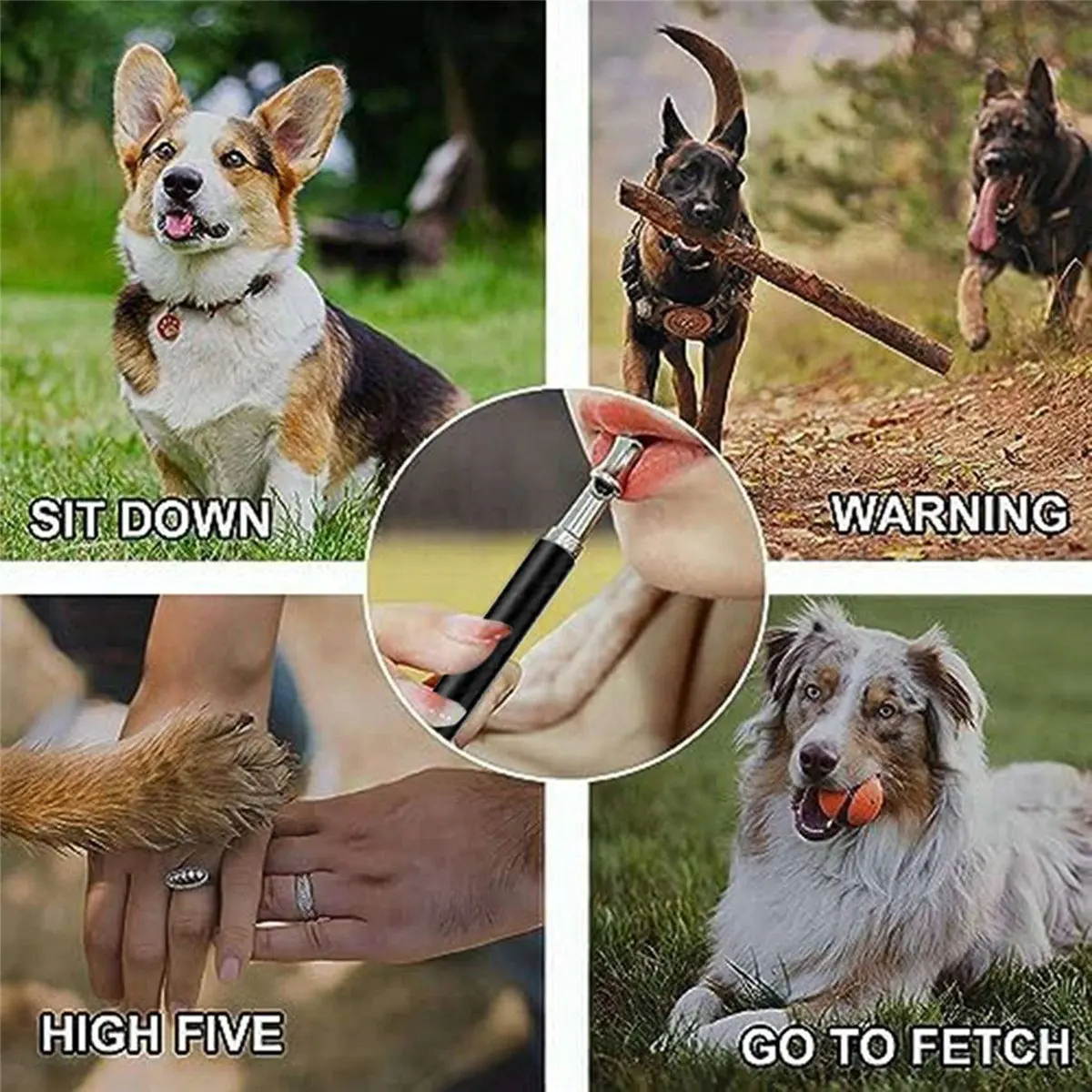 Grand 2 sifflet pour chien, sifflet ultrasonique réglable pour arrêter d'aboyer pour chiens, entraînement de rappel, avec lanière noire