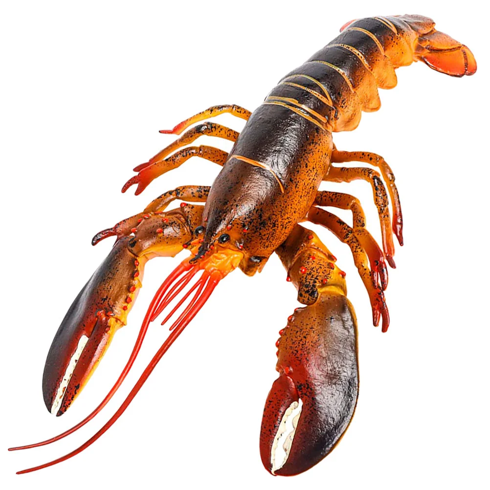 

Educational Model Toy Lobster Simulation Animal Figures Dining Table Fake Decoration Figurine Plastic Kids Toys Kid's Sculpture