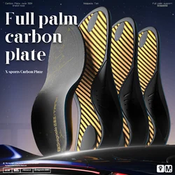 Mcgola Titx Gold Customized Carbon Plate Is More High-Strength, More Elasticity and More Speed, High-Strength Confrontation Basketball Insoles