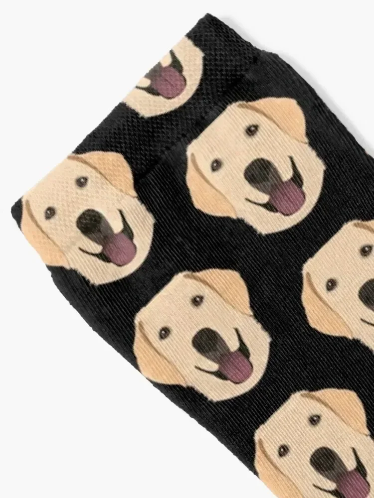 Tucker the Yellow Lab Socks halloween short Lots gift Socks For Men Women's