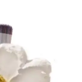 Facial Cleanser Brush Soft Hair Face Massage Wash Brush Face Mask Brush Portable Skin Care Tool