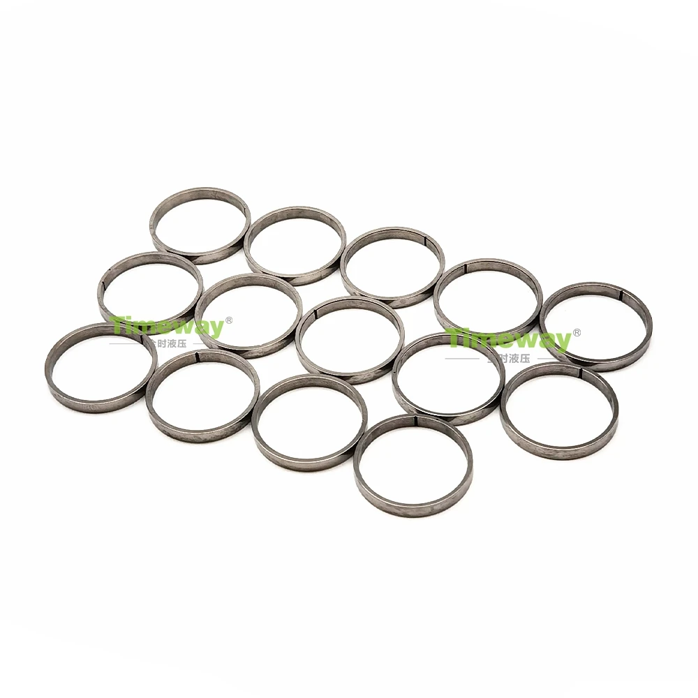 Piston Ring A8VO107 A6VE107 A6VM107 A6VM160 for Repair Rexroth Piston Pump