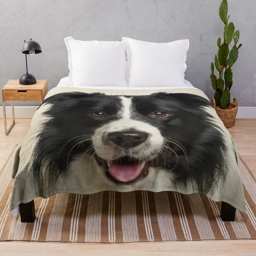 Border Collie Art, Domestic Dog, Animal Portrait Throw Blanket Fashion Sofas Cute Summer Beddings manga Blankets