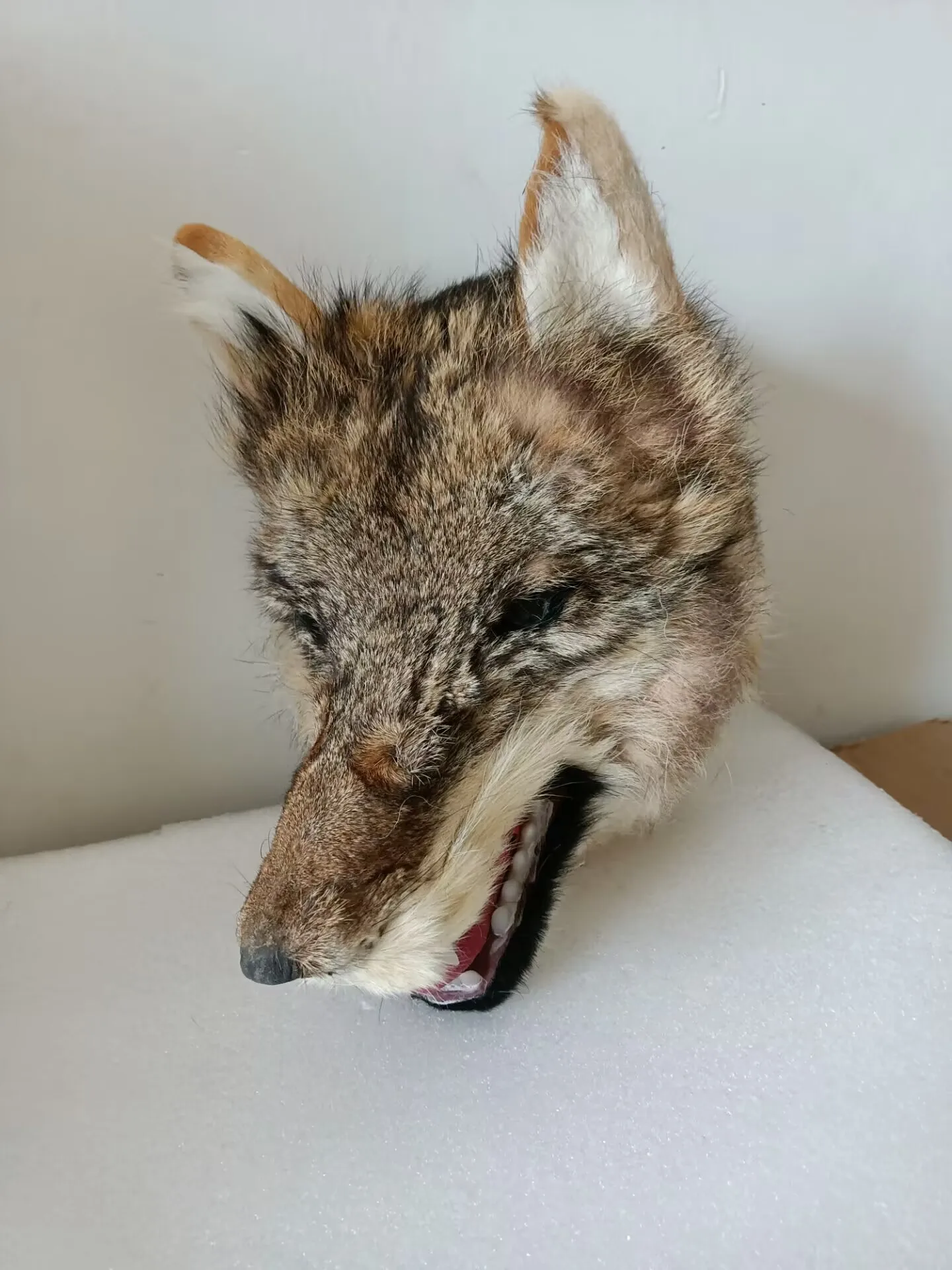 Big Open-Mouth Wolf Head Model Simulation Polyethylene & Furs Wall Decor 30x23x25cm Gift Idea Home Decor