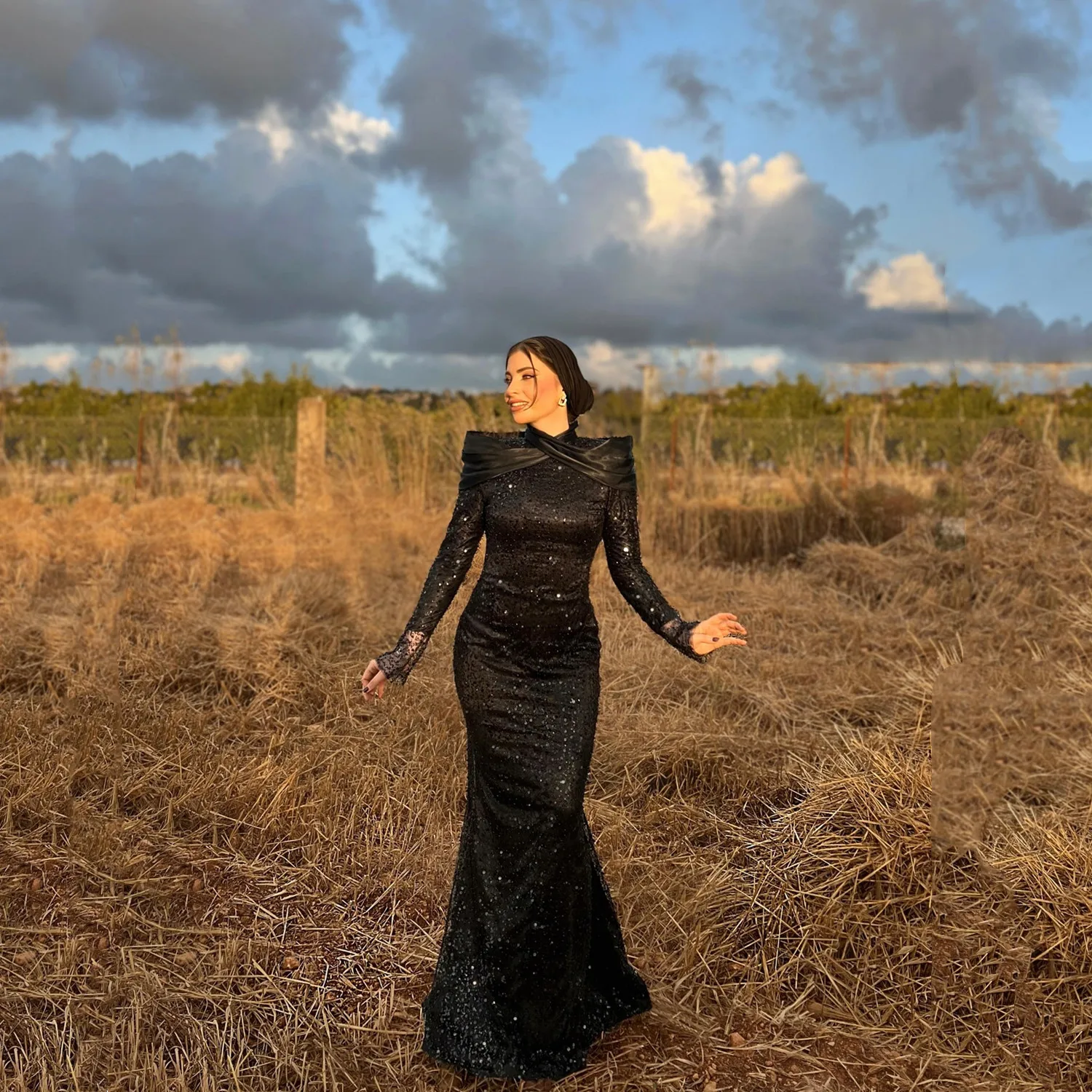 

Aileen Black Elegant Party Dresses 2025 Women Evening Dress Bead Embroidery Mermaid Vestidos De Festa فساتين سهرات Customized