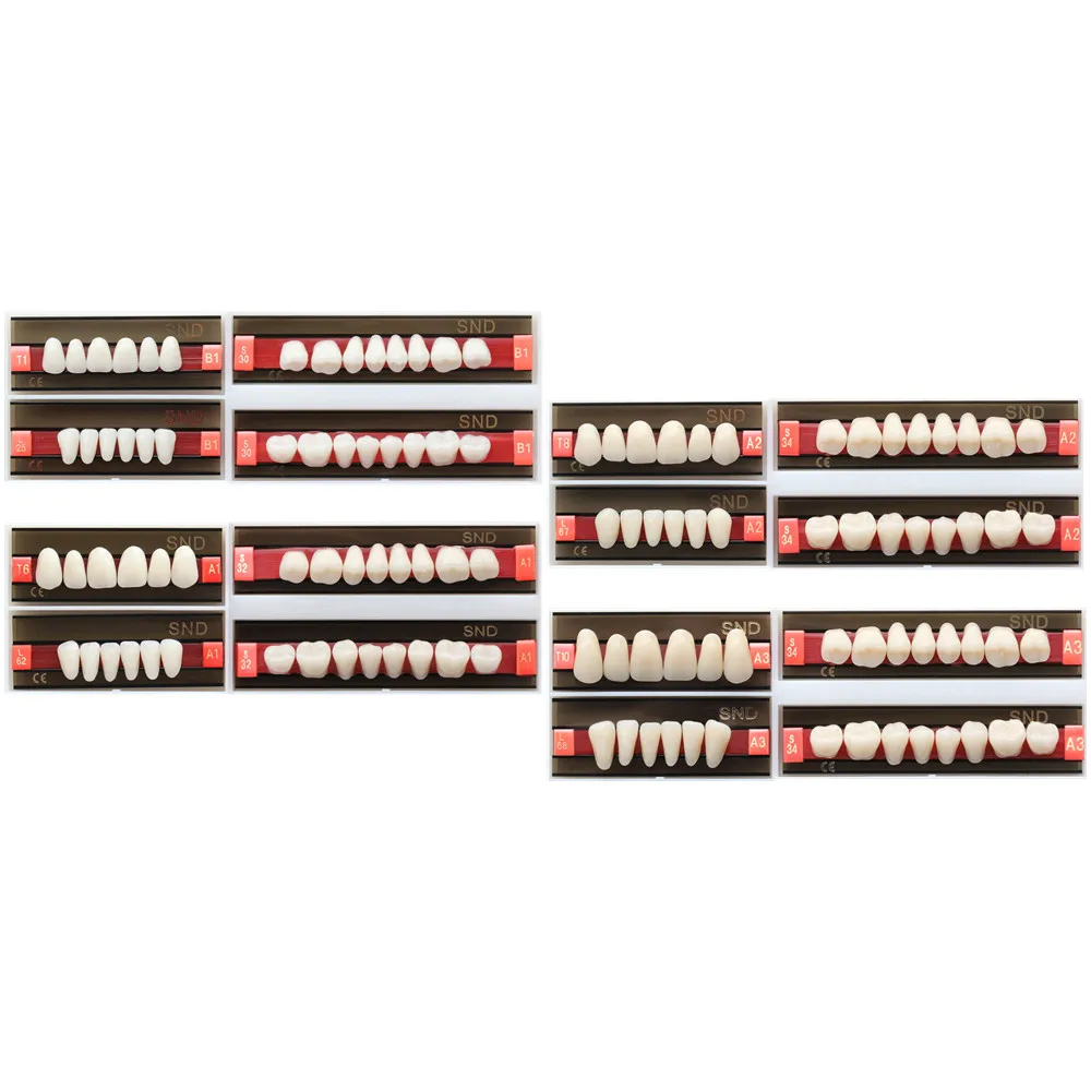 28 Pcs/Set Full Mouth Dental Two-Layers Acrylic Synthetic Resin Teeth Whitening Denture Fake Oral Care False Anterior Posterior