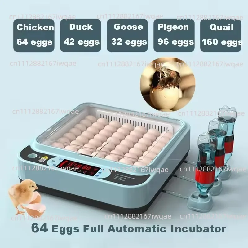 Small household incubator, fully automatic incubator, intel-ligent rutin chi-cken,