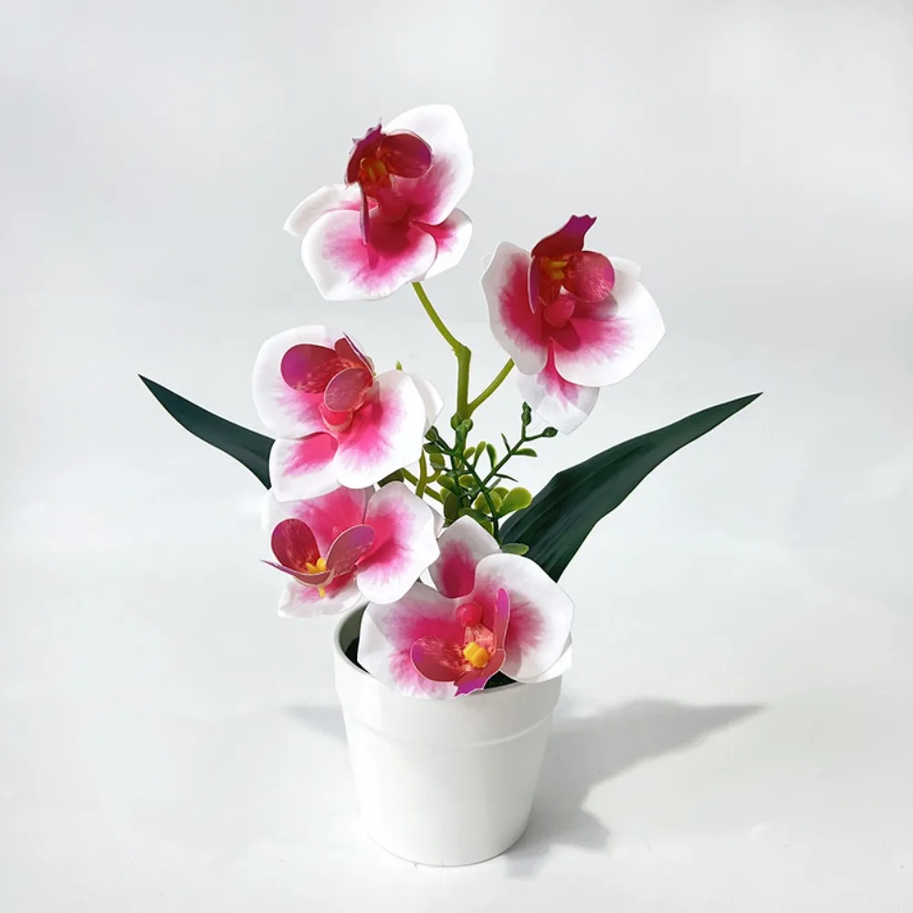 5 Blooms Artificial Orchid Arrangement Realistic Indoor Potted Flower Display White Pot Compact Tabletop Floral Centerpiece
