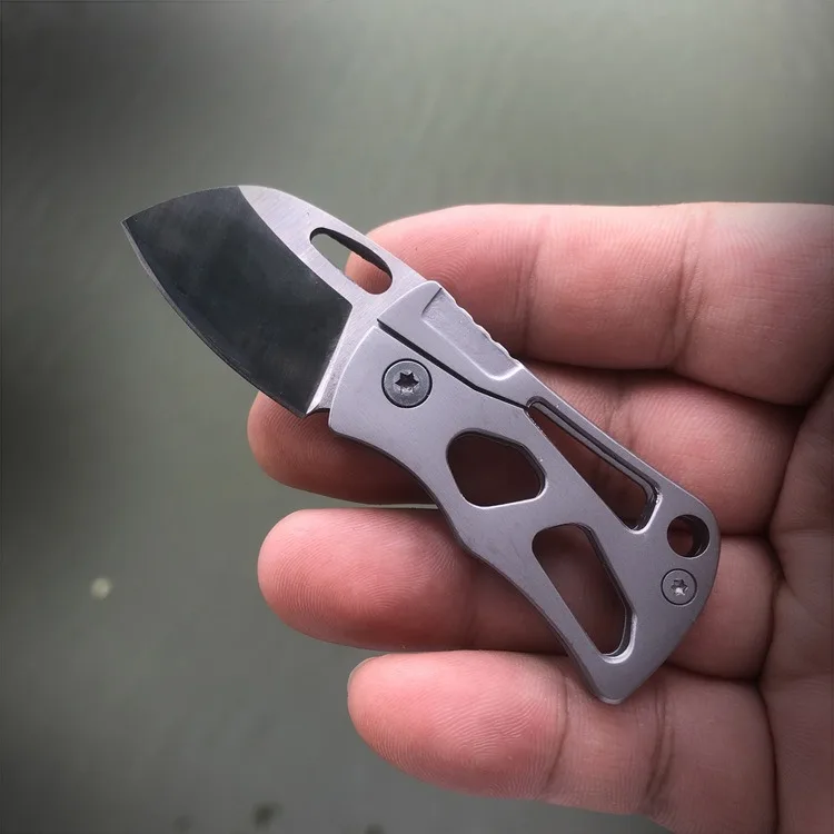 

Mini Keychain Pocket Folding Knife 5Cr13Mov Blade 420 Steel Handle EDC Pocket Knife Portable Outdoor Knife Fruit Knife