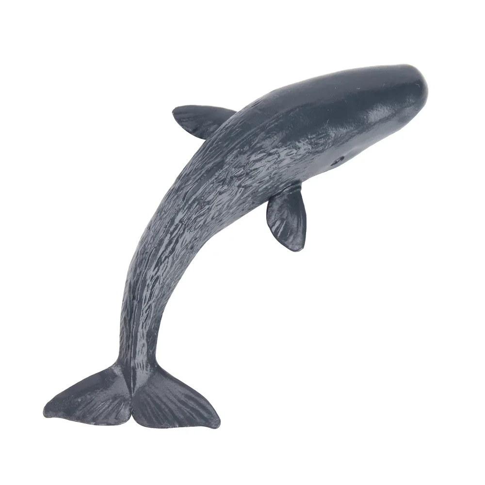Toymany symulacja wieloryb jajoczątka Ocean Model zwierzęcia zabawki figurki do miniatur lalki figurki zabawki dla dzieci prezent narzędzie do dekoracji ciast