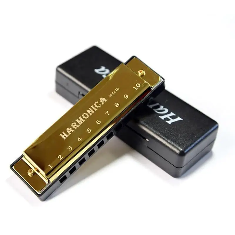 Harmonica 10 Holes Diatonic Mouth Organ Key C Blues Jazz Music Training for Beginners