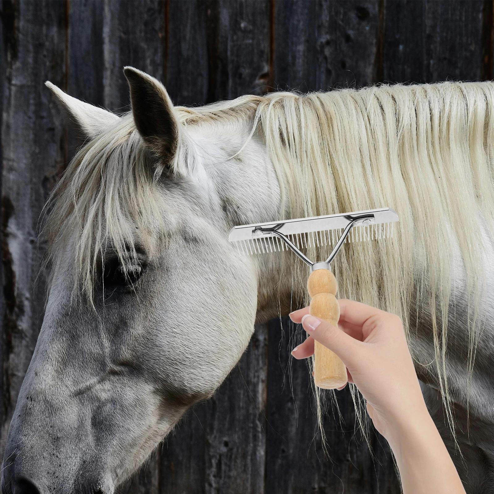 

Horsehair Wooden Handle Pet Comb Grooming Supplies Mane Metal for Combing Horses Miss