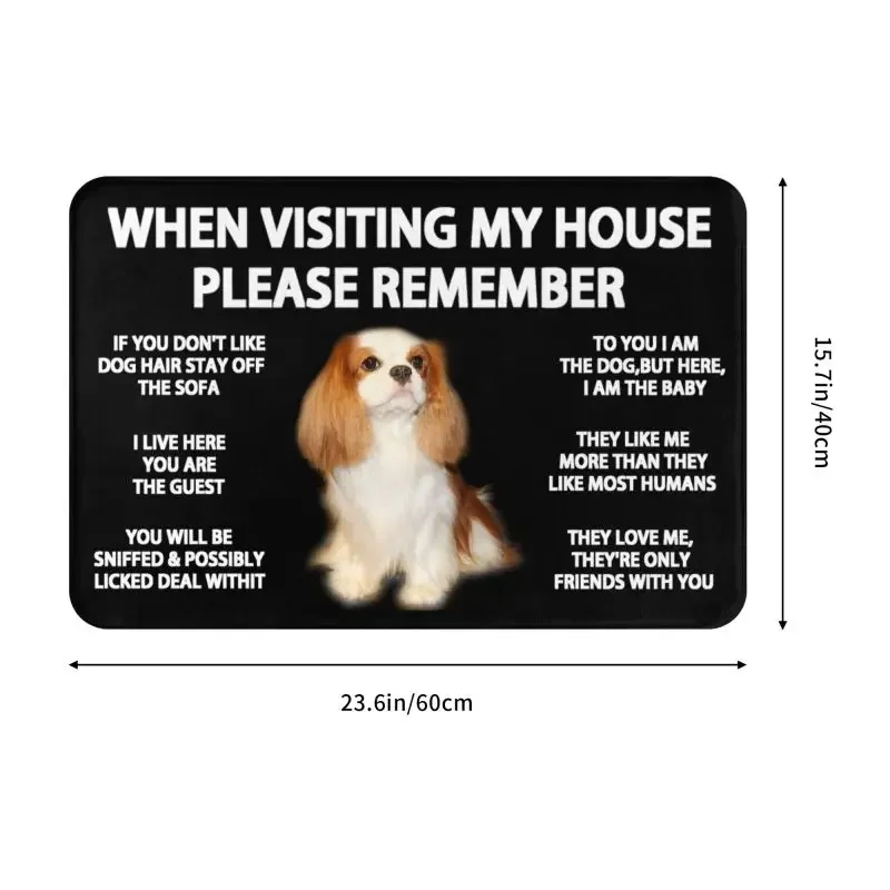 Personalized Cavalier King Charles Spaniel Doormat Mat Anti-Slip Dog Kitchen Bath Toilet Rug Carpet 40*60cm