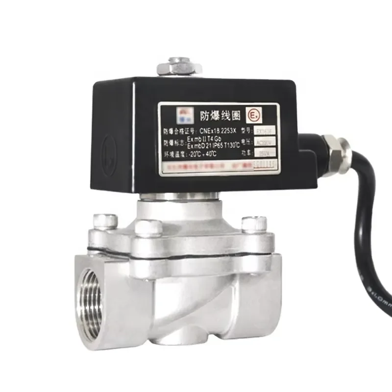 

220V 12V 24V Explosion-proof Solenoid Valve CT4 Coal Mine Natural Valve Normally Closed Hydraulic Stainless Steel