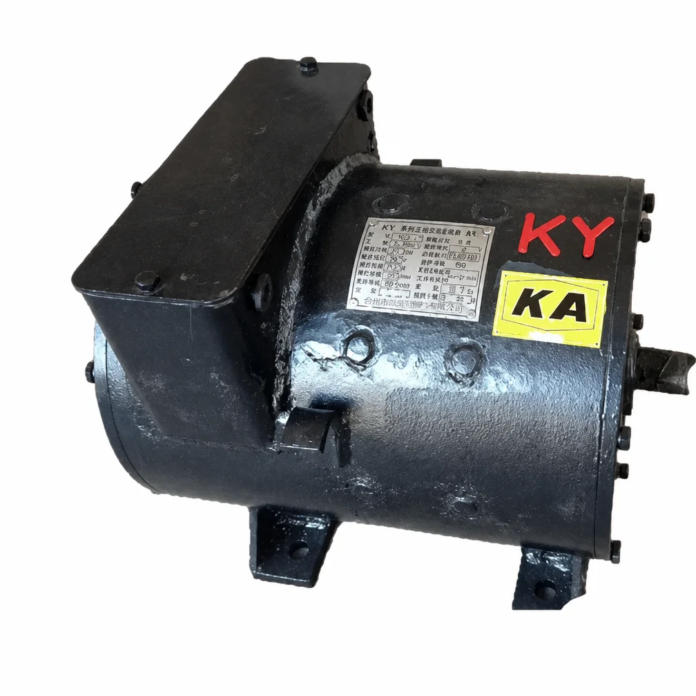 Custom Voltage High Torque DC Traction Motor Brushed Type for Electric Forklift and Electric Car
